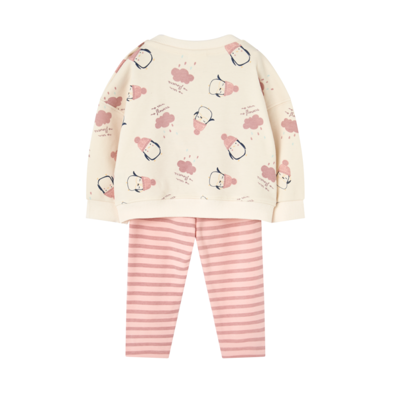 conjunto pingüino